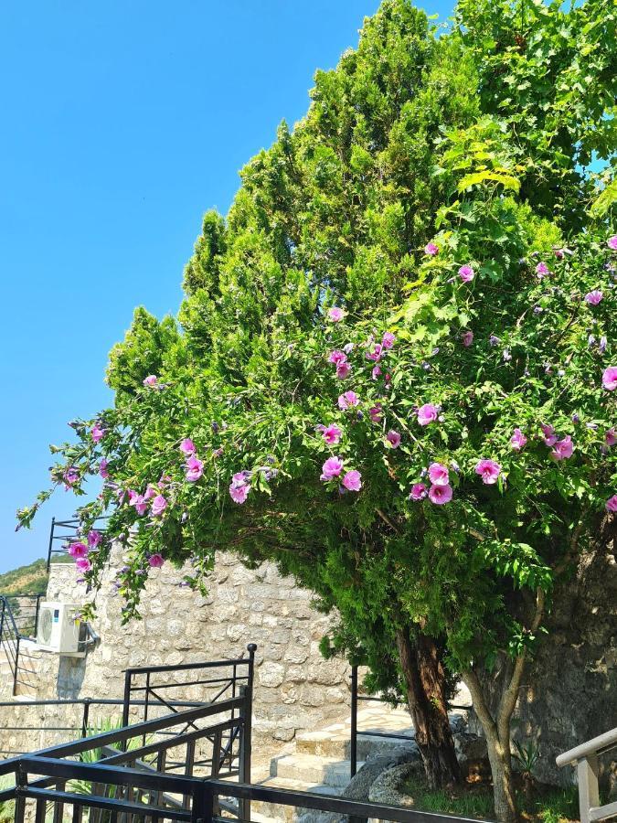 Villa Nera Budva Ngoại thất bức ảnh