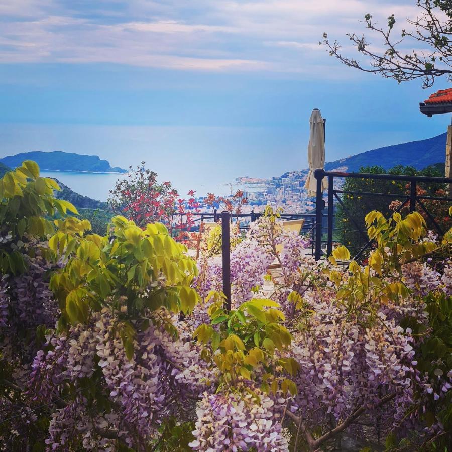 Villa Nera Budva Ngoại thất bức ảnh