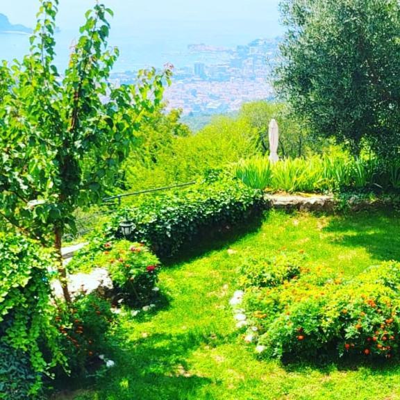 Villa Nera Budva Ngoại thất bức ảnh
