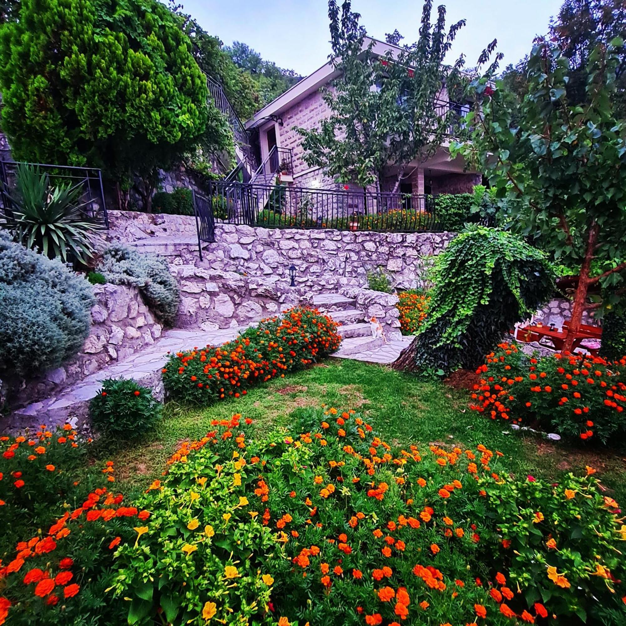 Villa Nera Budva Ngoại thất bức ảnh